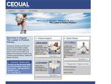 Tablet Screenshot of cequal.com
